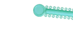 Greensboro & Winston-Salem, NC Orthodontist Teeth